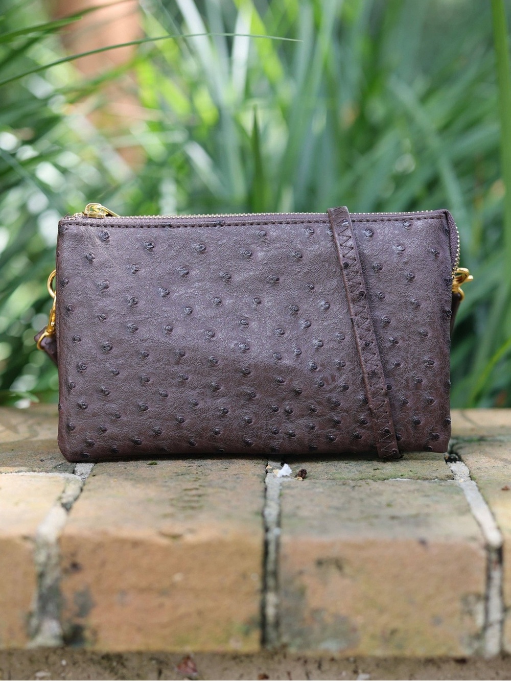 Caroline Hill Liz Crossbody Coffee EO Purse